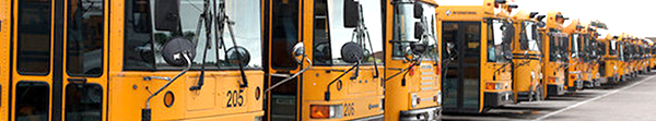 Transportation header image of school busses 