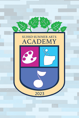 Visual and Performing Arts Academy